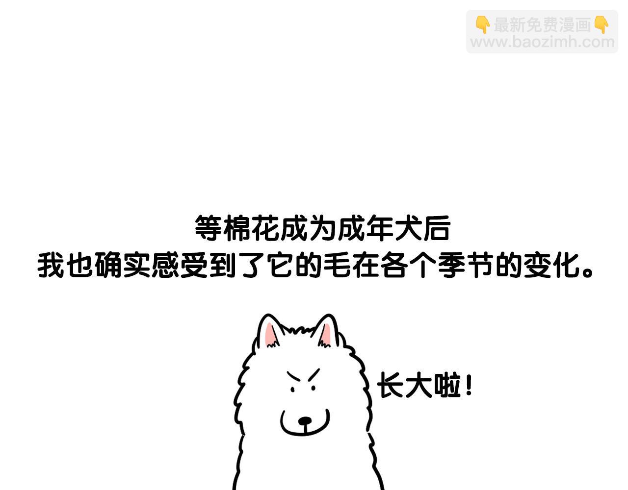 第38话 不怕冷(1/2)-第39话