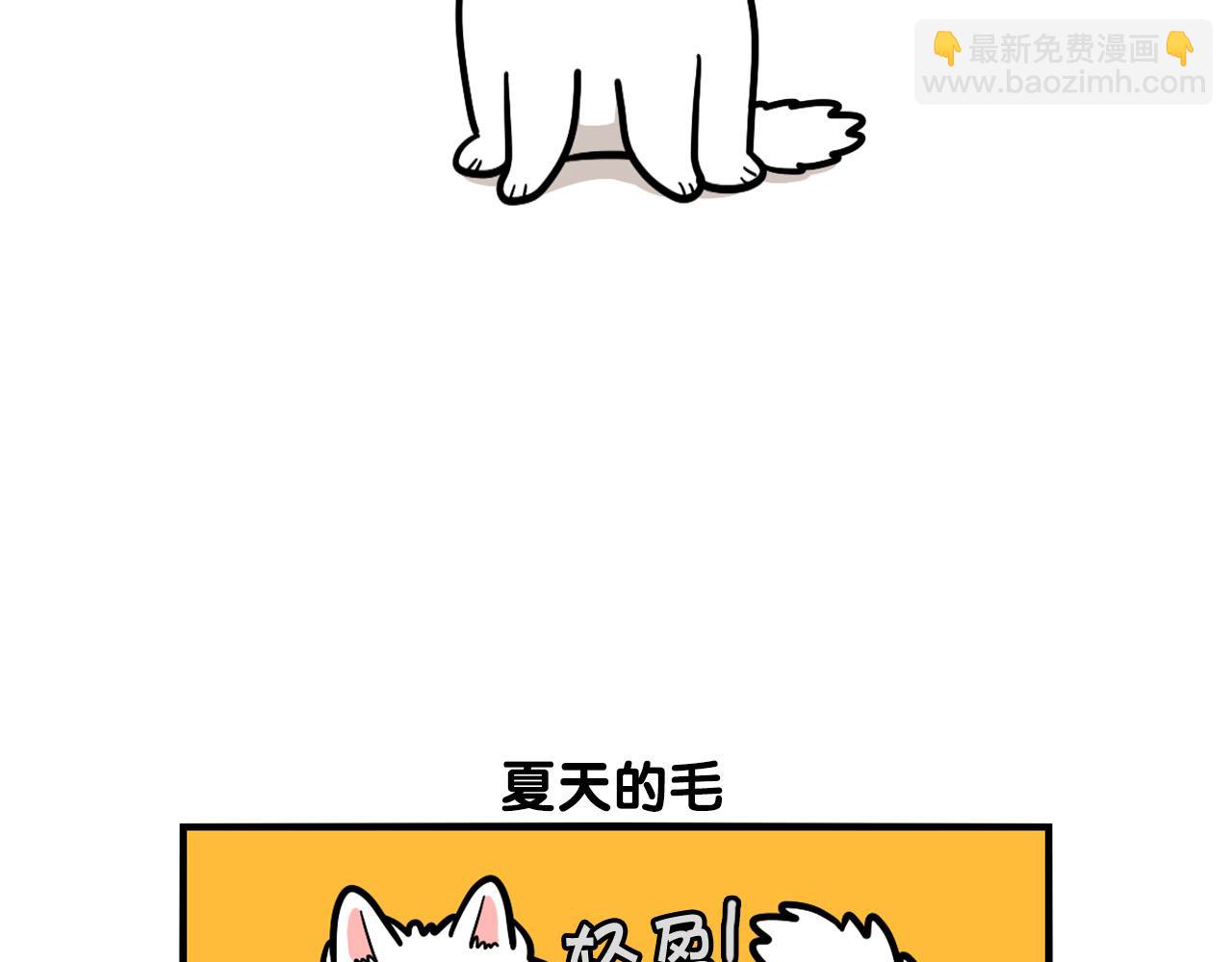 第38话 不怕冷(1/2)-第39话