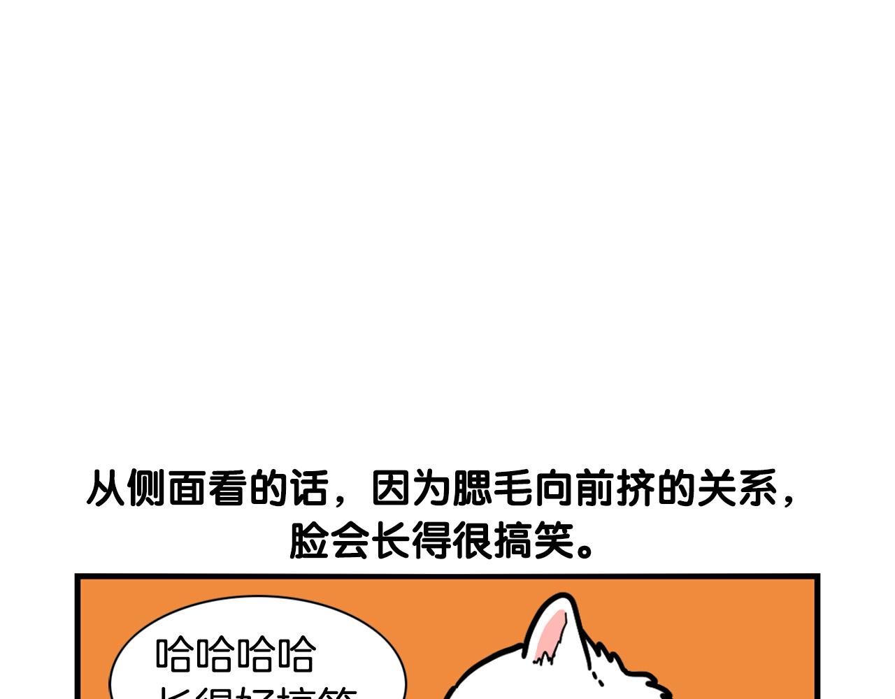 第38话 不怕冷(1/2)-第39话