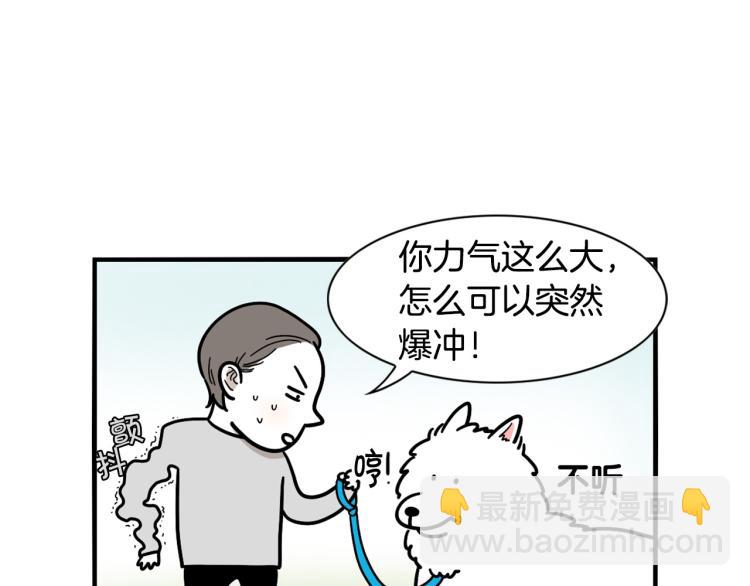 第4话 训练狗狗大作战！(1/2)-第5话