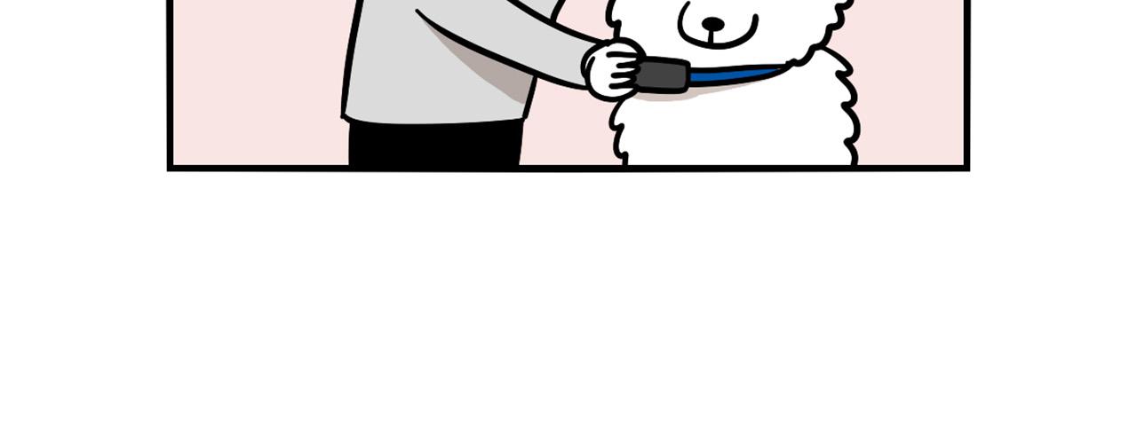 第40话 如何防止狗叫？(1/2)-第41话