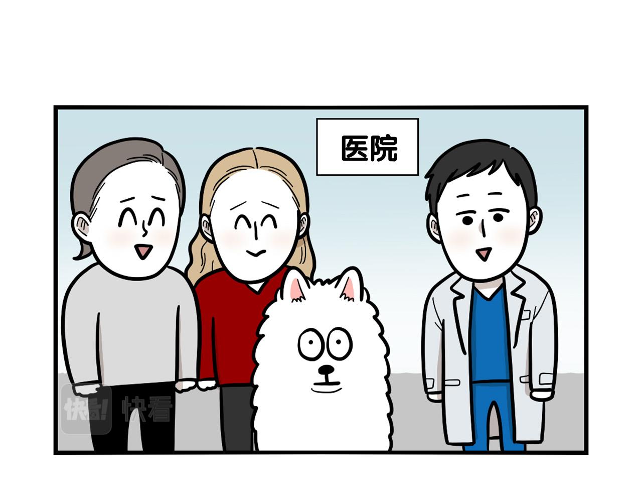 第42话 绝育难题(1/2)-第43话