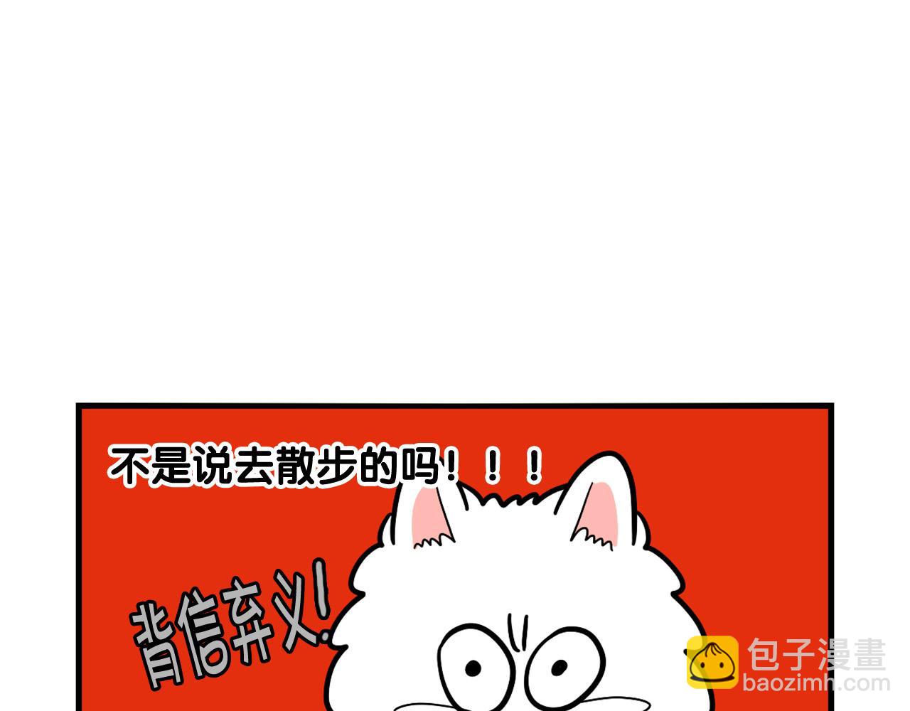 第42话 绝育难题(1/2)-第43话