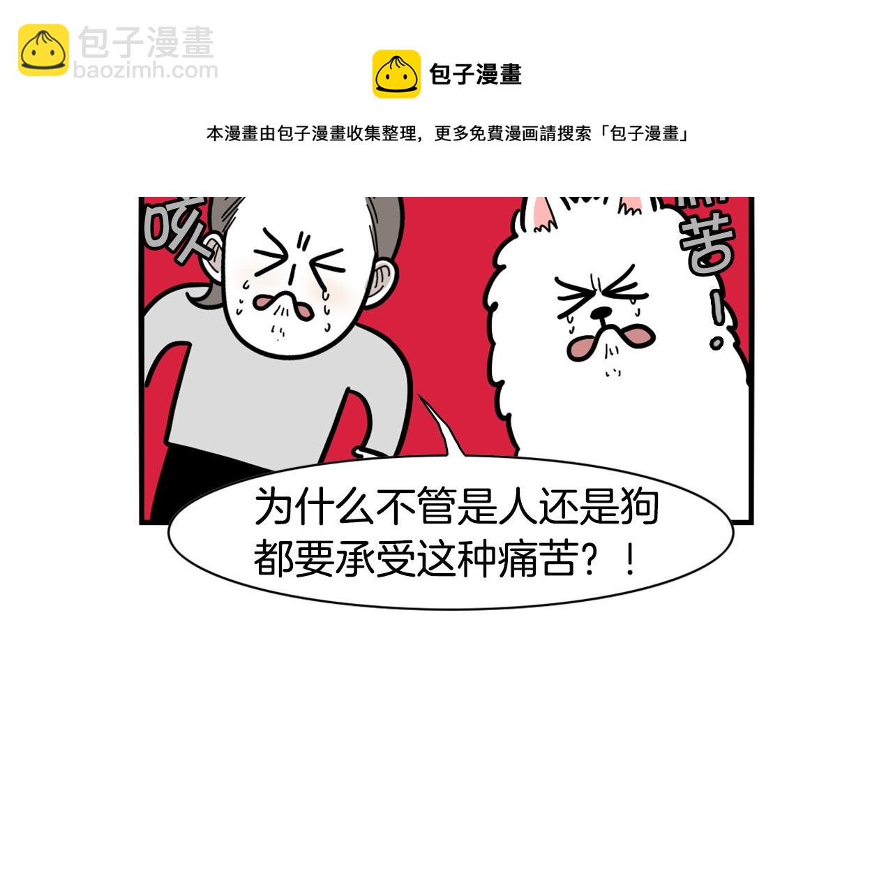 第42话 绝育难题(1/2)-第43话