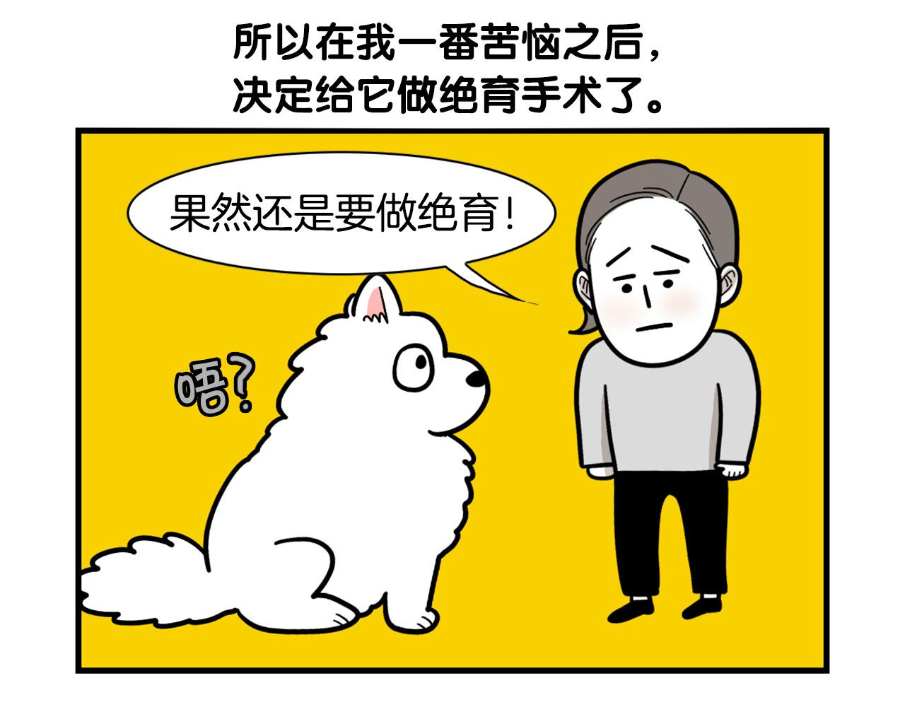 第42话 绝育难题(1/2)-第43话