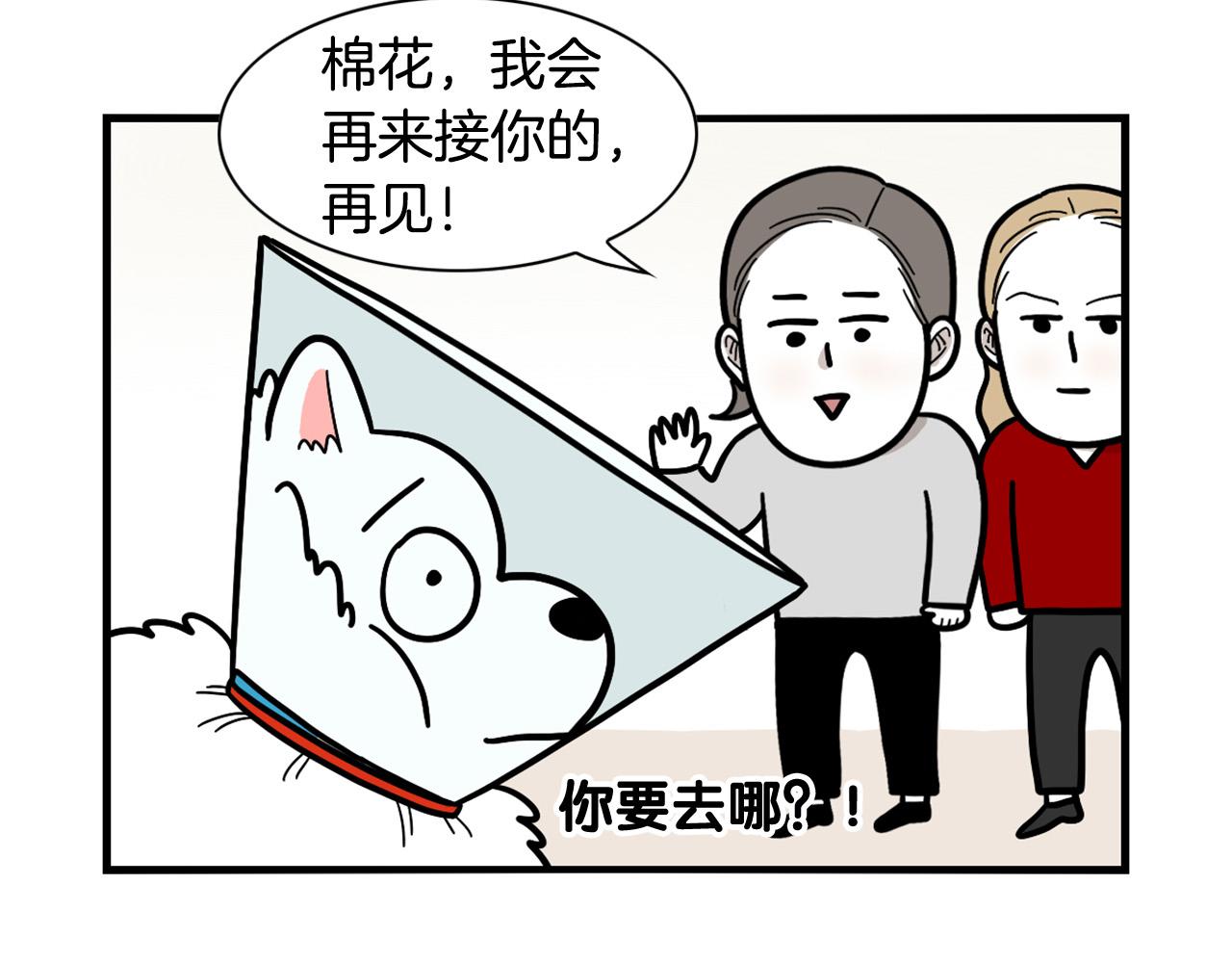 第42话 绝育难题(1/2)-第43话