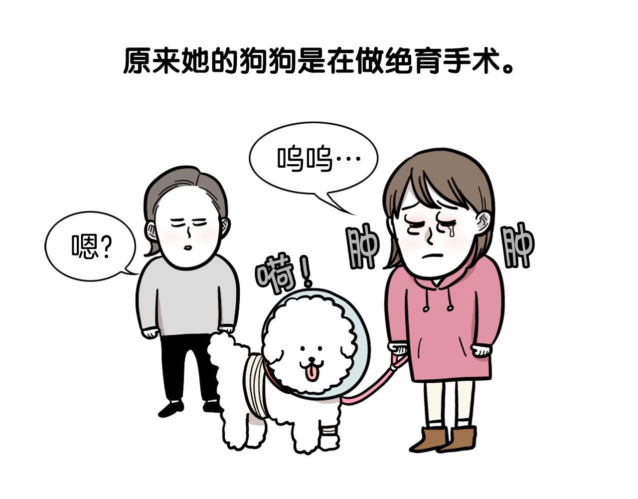 第42话 绝育难题(1/2)-第43话