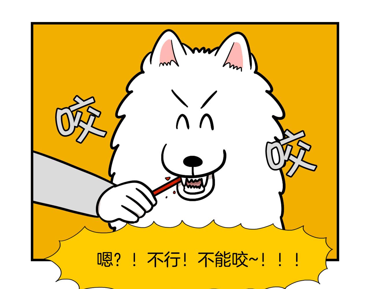 第50话 刷牙示范(1/2)-第51话