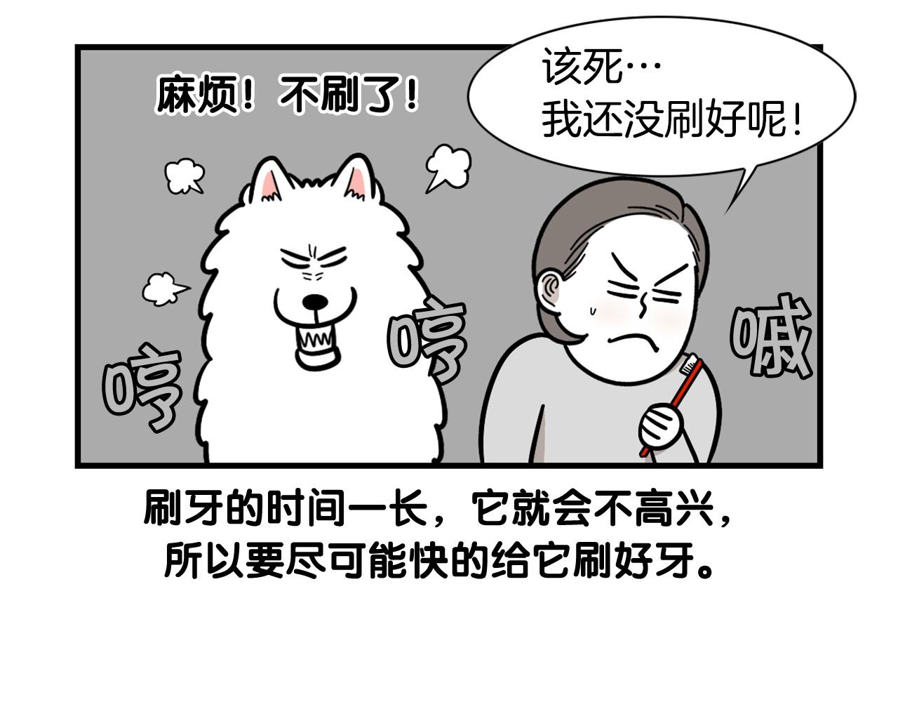 第50话 刷牙示范(1/2)-第51话
