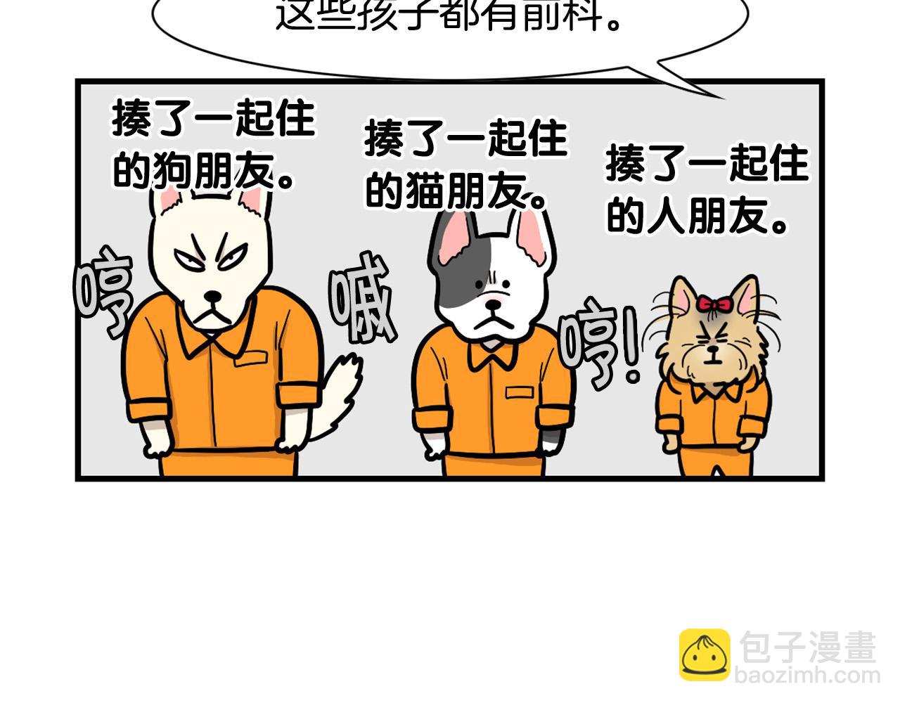 第54话 接它回家！(1/2)-第55话