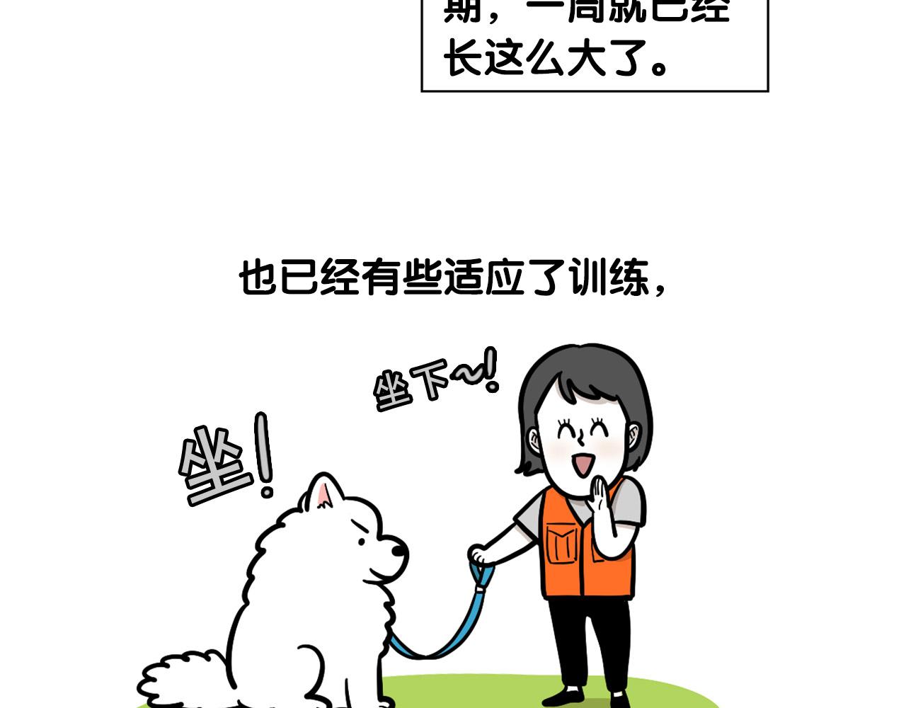 第54话 接它回家！(1/2)-第55话