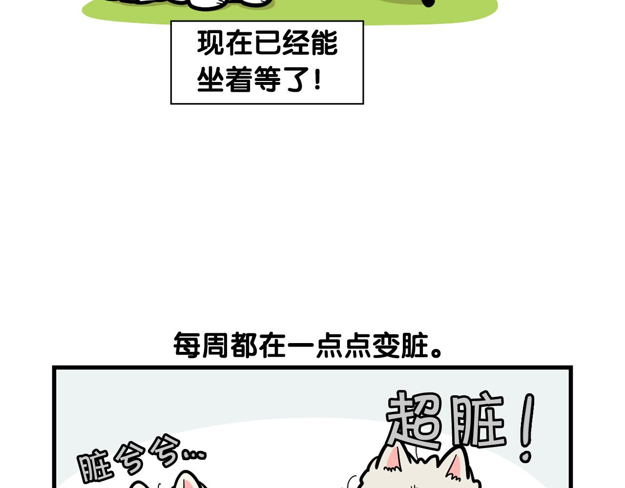 第54话 接它回家！(1/2)-第55话