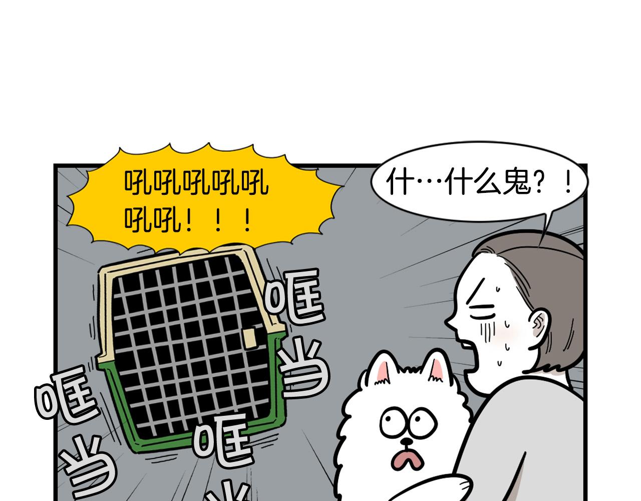 第54话 接它回家！(1/2)-第55话