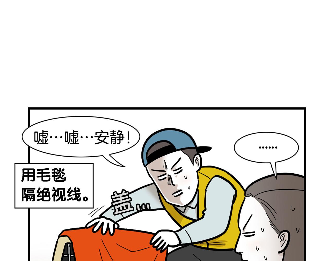 第54话 接它回家！(1/2)-第55话