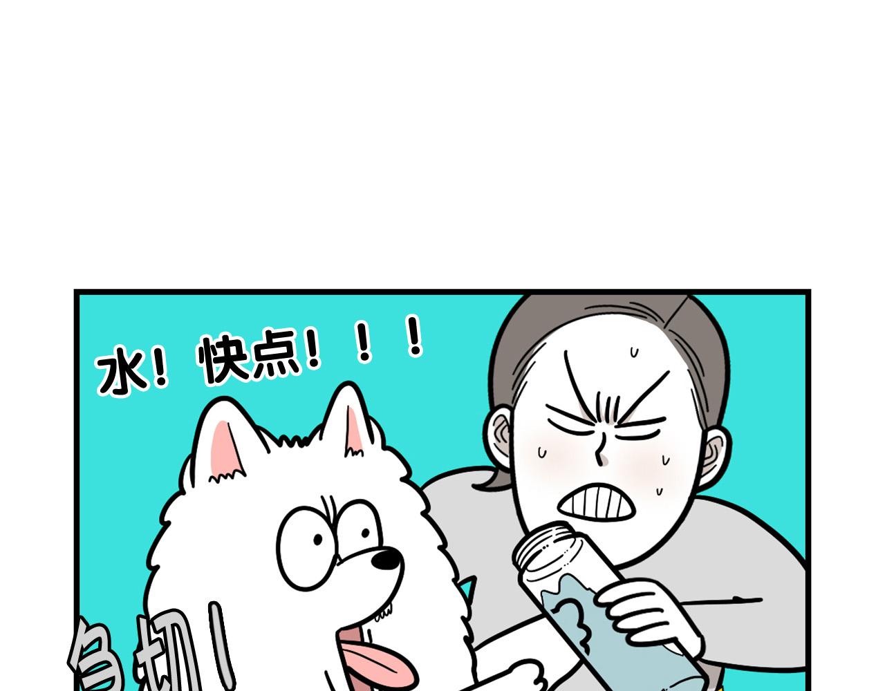 第60话 养狗很快乐～(1/2)-第61话