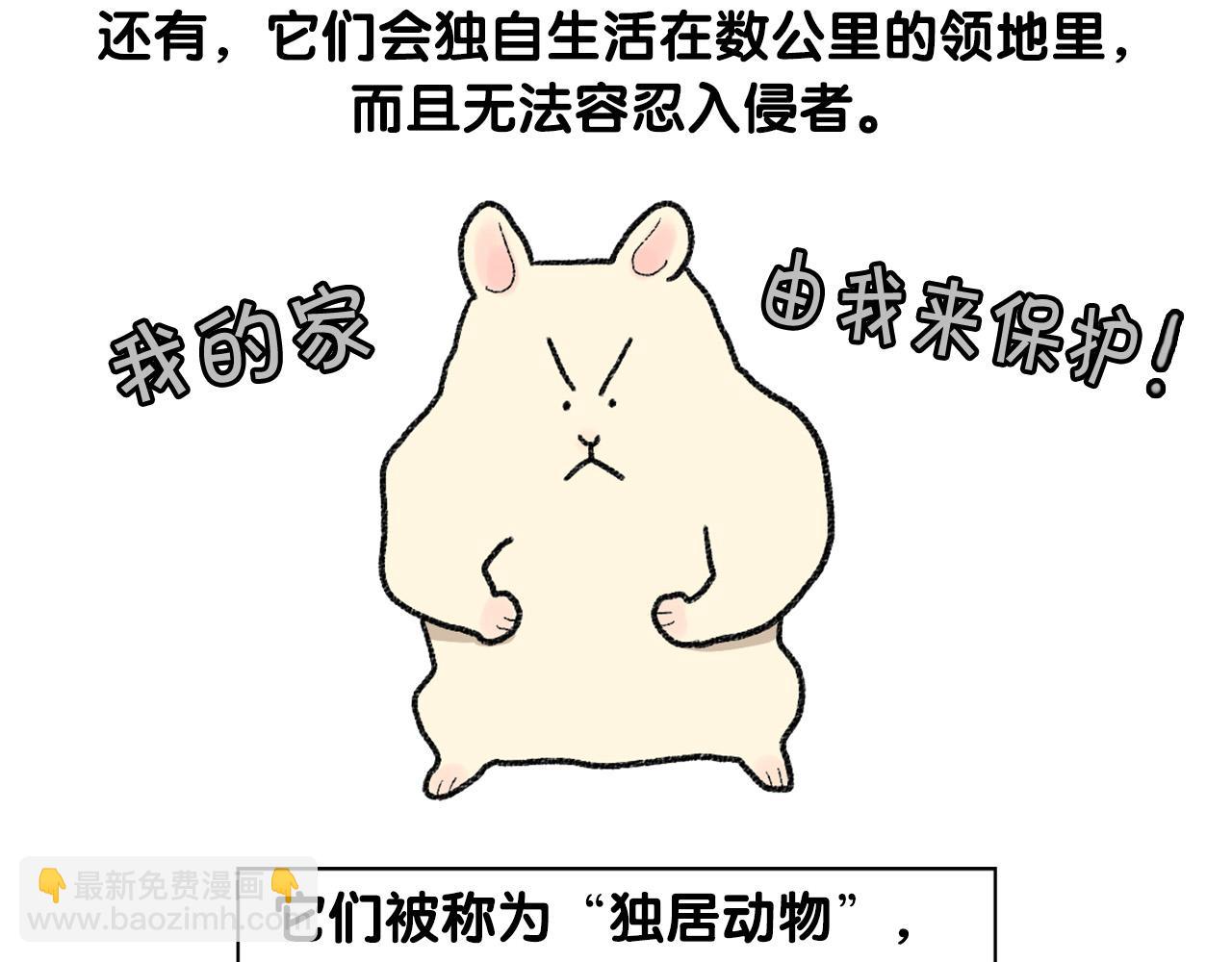 番外2 嘴容量(1/2)-第63话