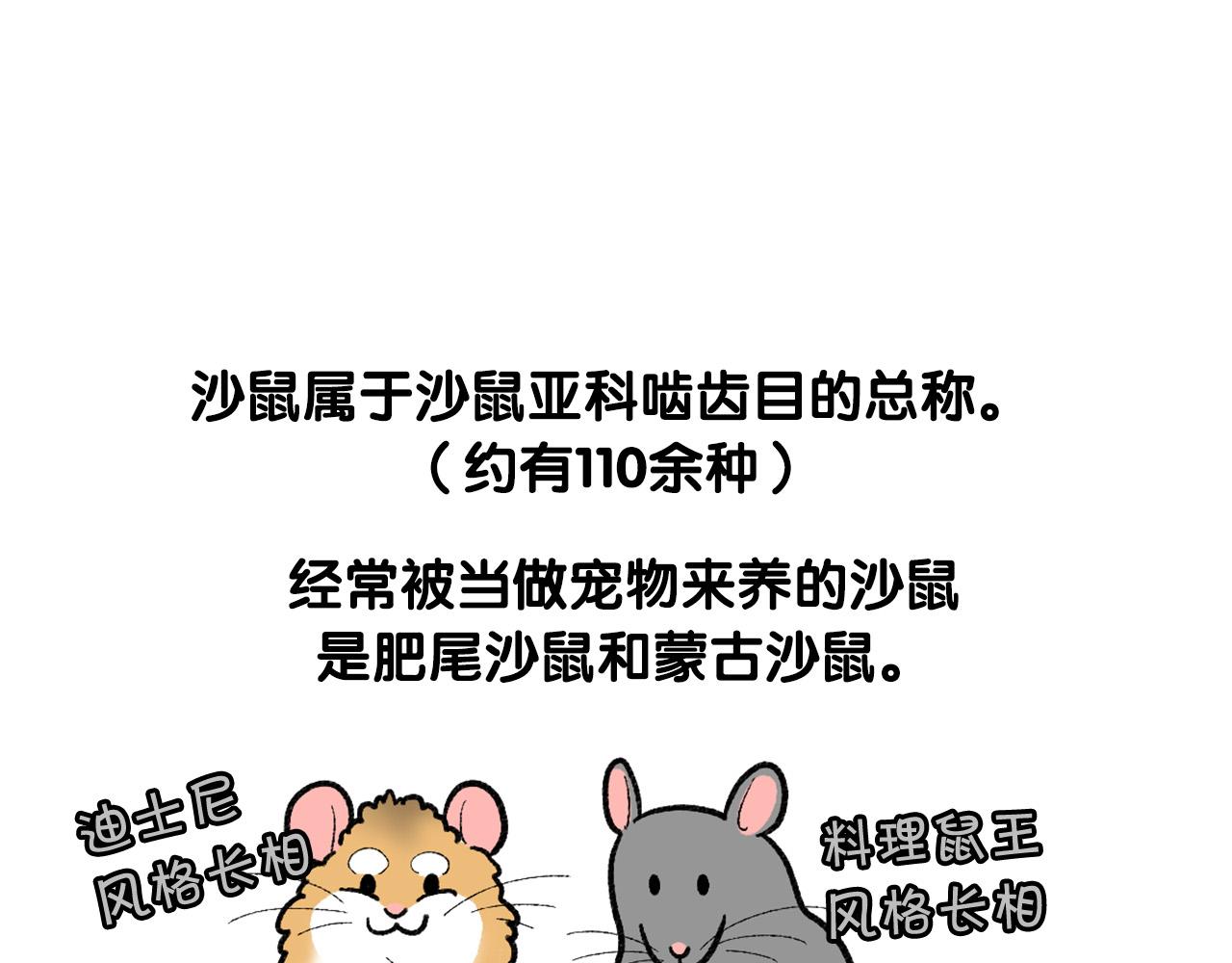 番外4 是我大意了(1/2)-第65话