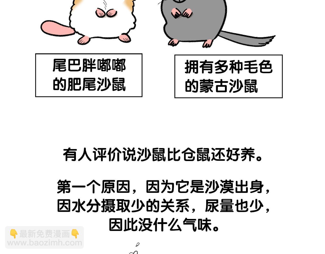 番外4 是我大意了(1/2)-第65话