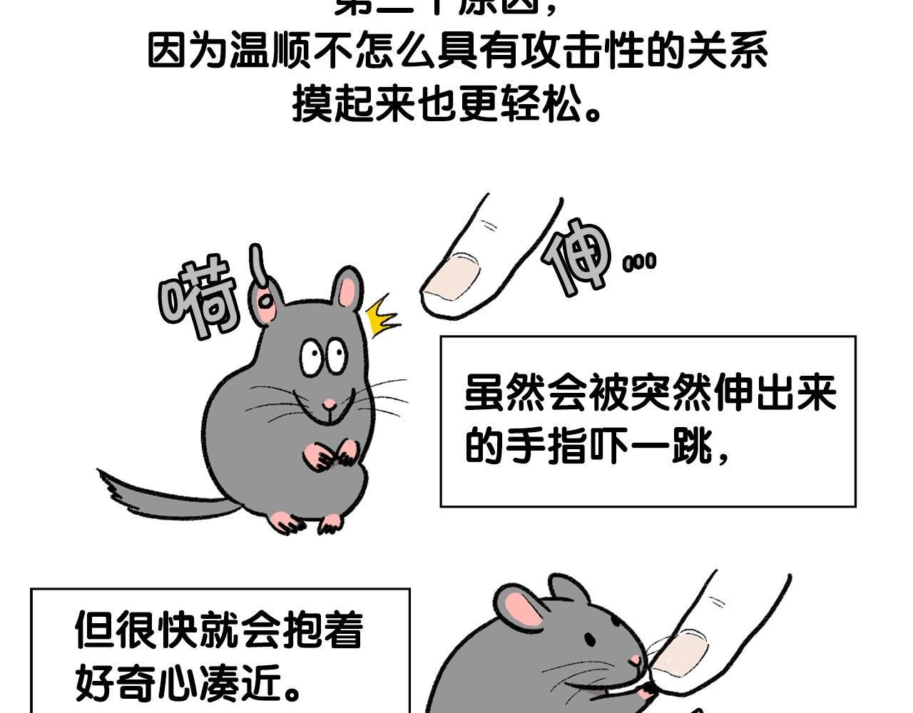 番外4 是我大意了(1/2)-第65话