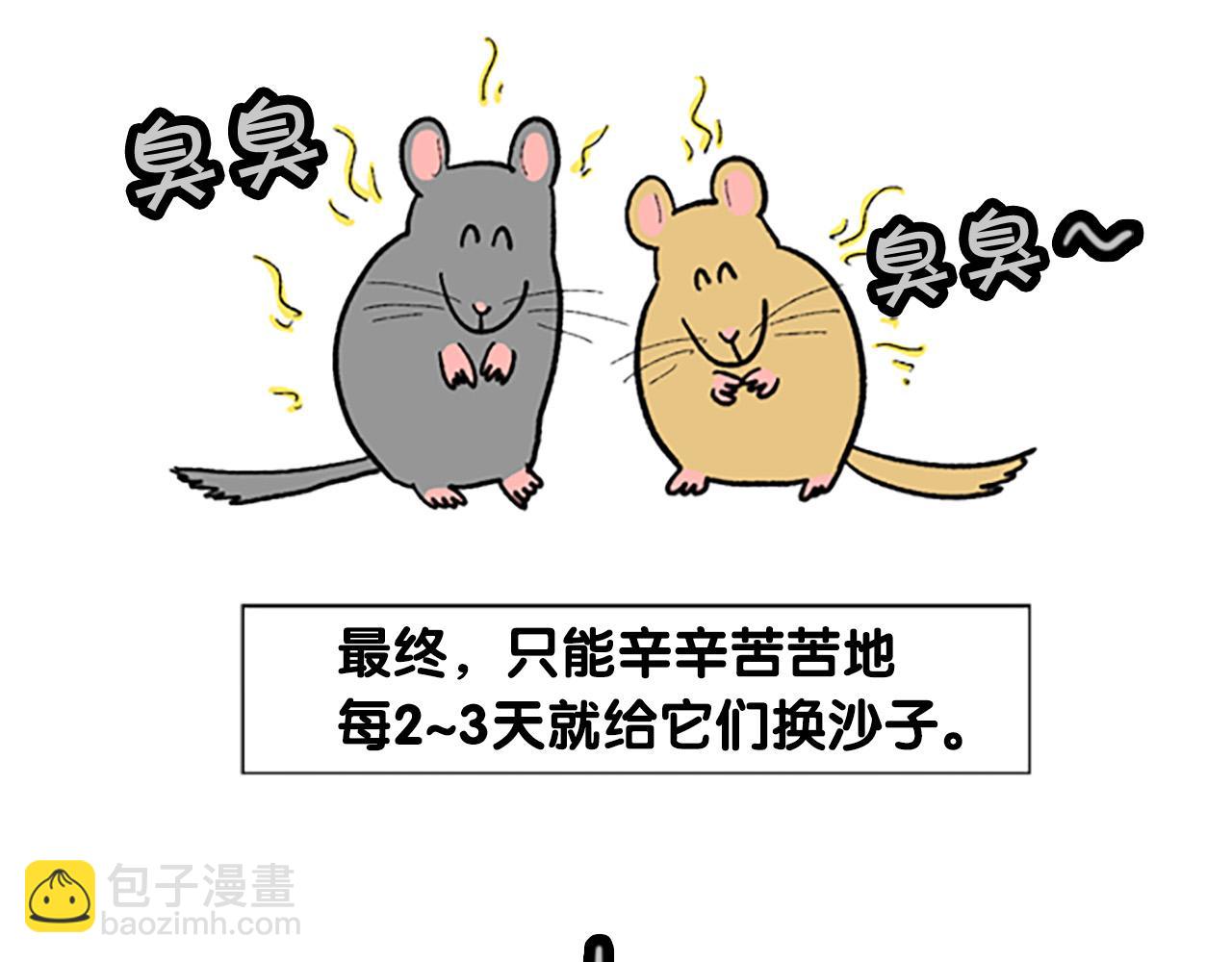 番外4 是我大意了(1/2)-第65话