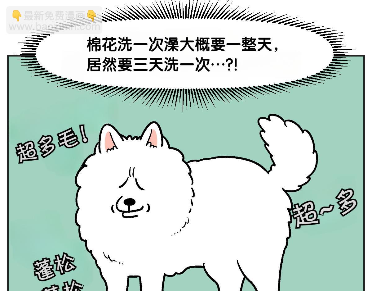 第1话 棉棒的诞生(1/2)-第69话