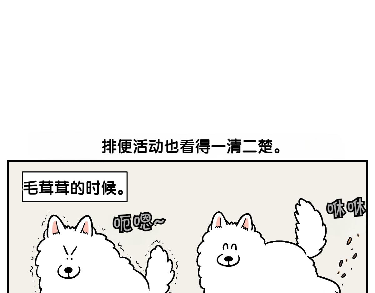 第3话 回归的棉棒(1/2)-第71话