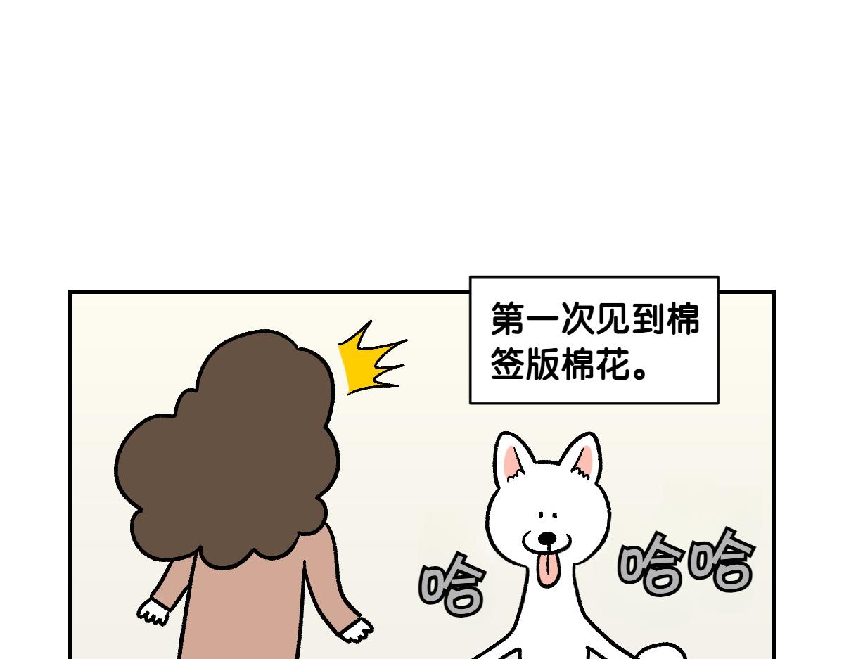 第3话 回归的棉棒(1/2)-第71话