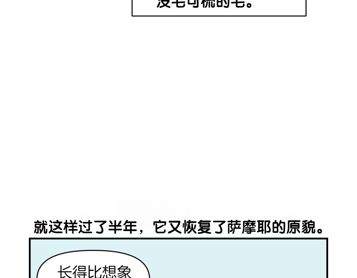 第3话 回归的棉棒(1/2)-第71话