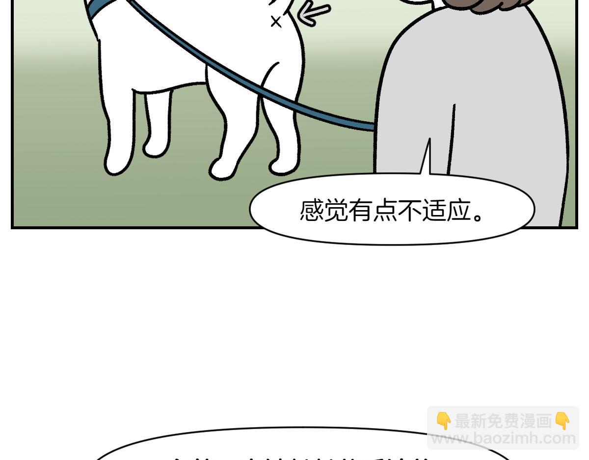 第3话 回归的棉棒(1/2)-第71话