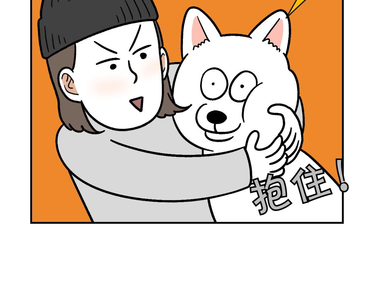 第5话 喂狗狗吃药片的方法(1/2)-第73话