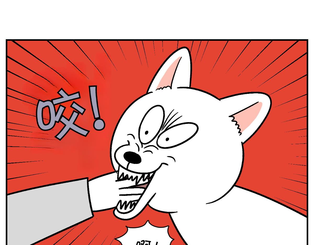 第5话 喂狗狗吃药片的方法(1/2)-第73话