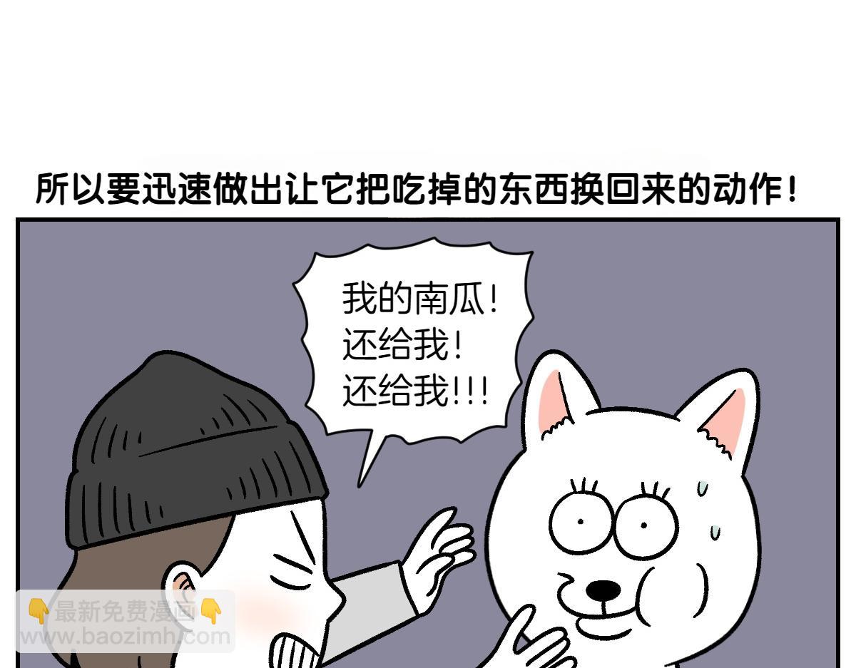 第5话 喂狗狗吃药片的方法(1/2)-第73话