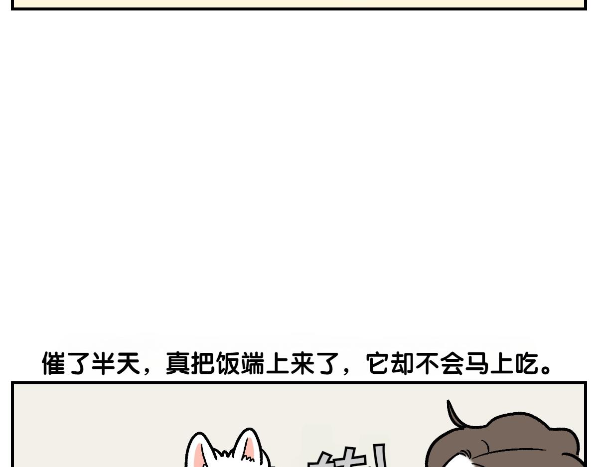 我的狗子叫棉花 - 第9話 早間流程(1/2) - 5