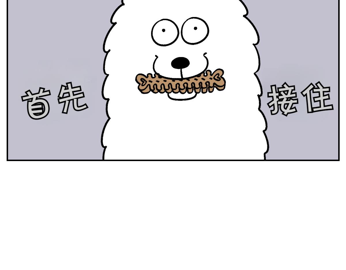 第11话 狗咬胶(1/2)-第79话