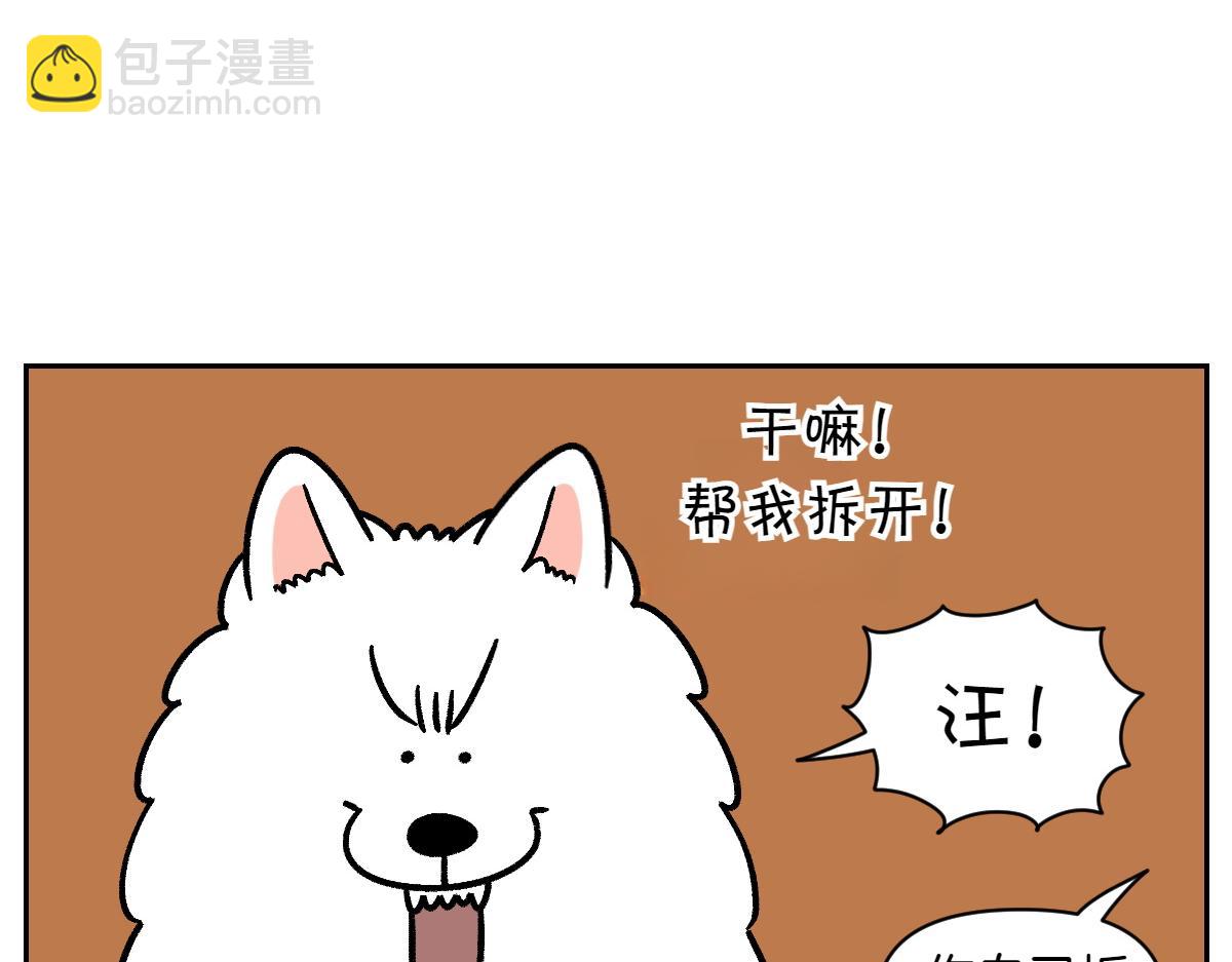 第11话 狗咬胶(1/2)-第79话