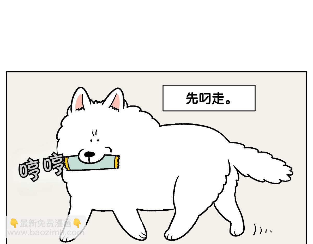 第11话 狗咬胶(1/2)-第79话