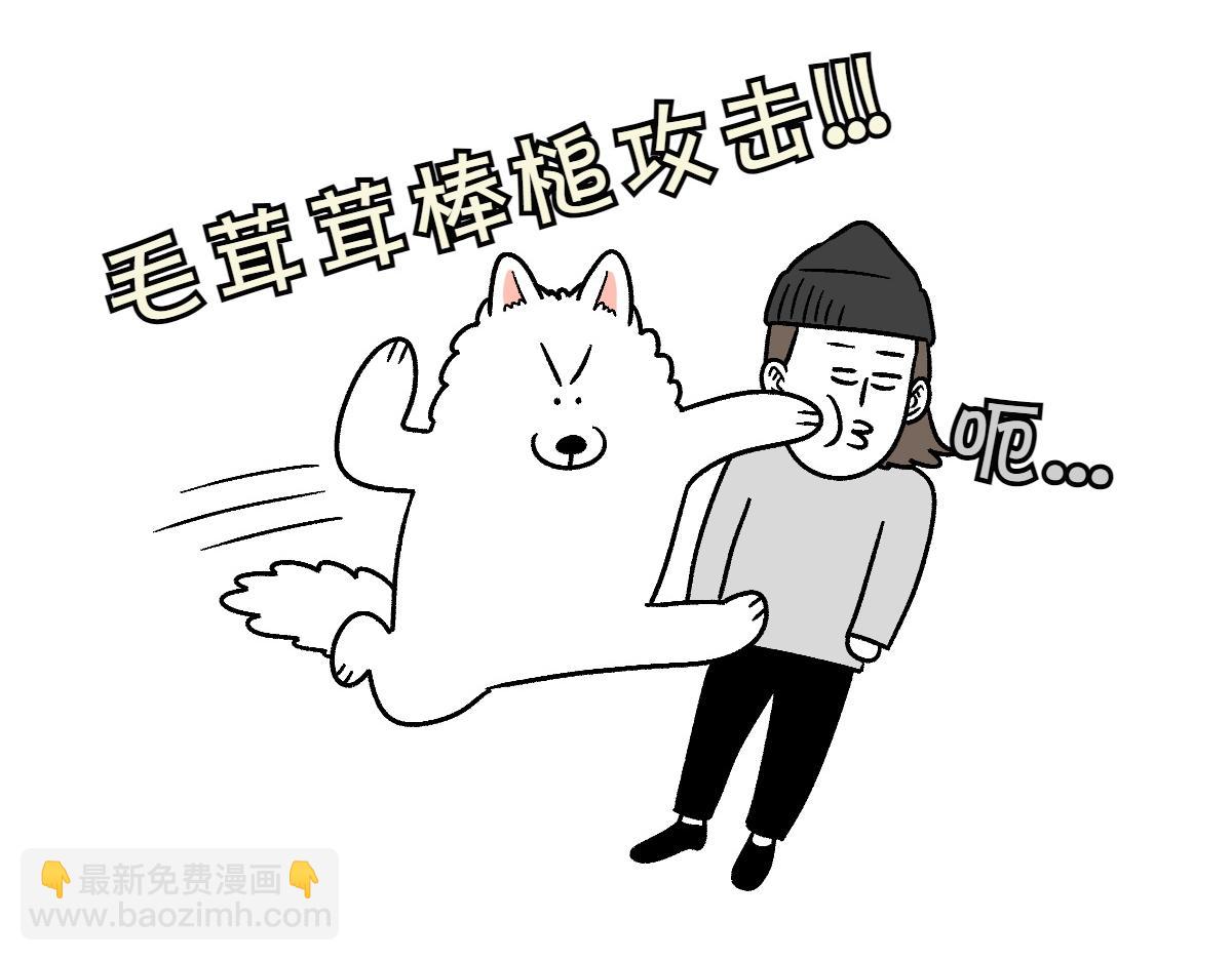 第11话 狗咬胶(1/2)-第79话