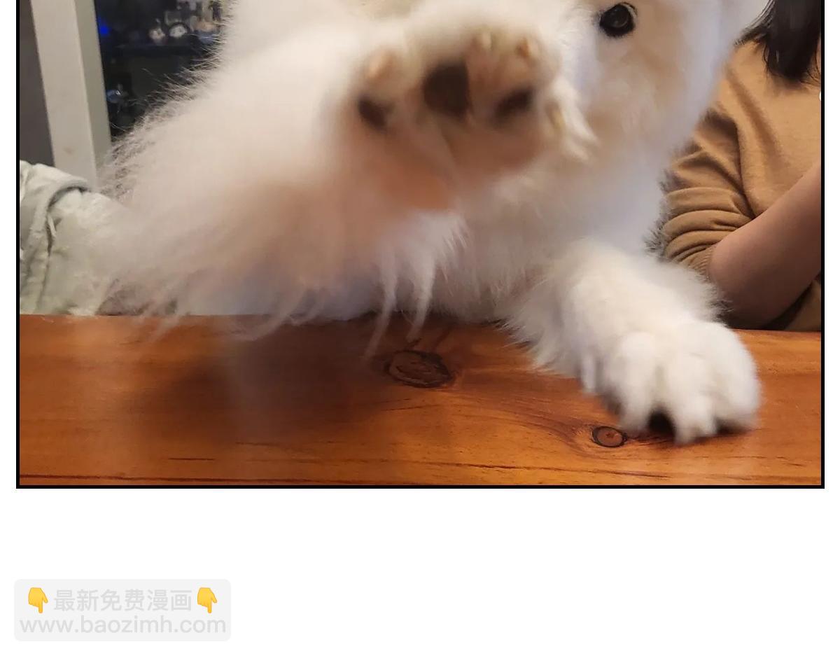 第11话 狗咬胶(1/2)-第79话