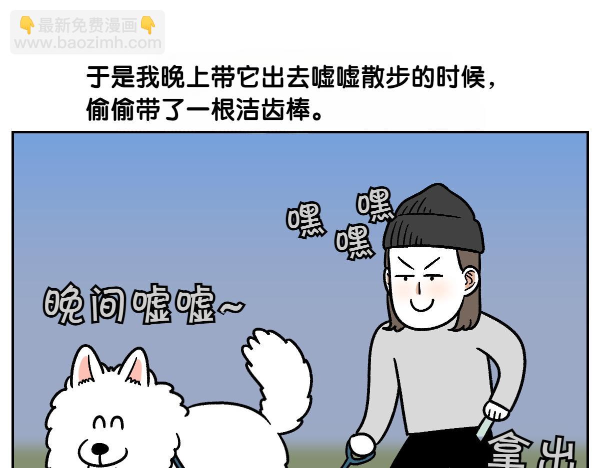 第11话 狗咬胶(1/2)-第79话