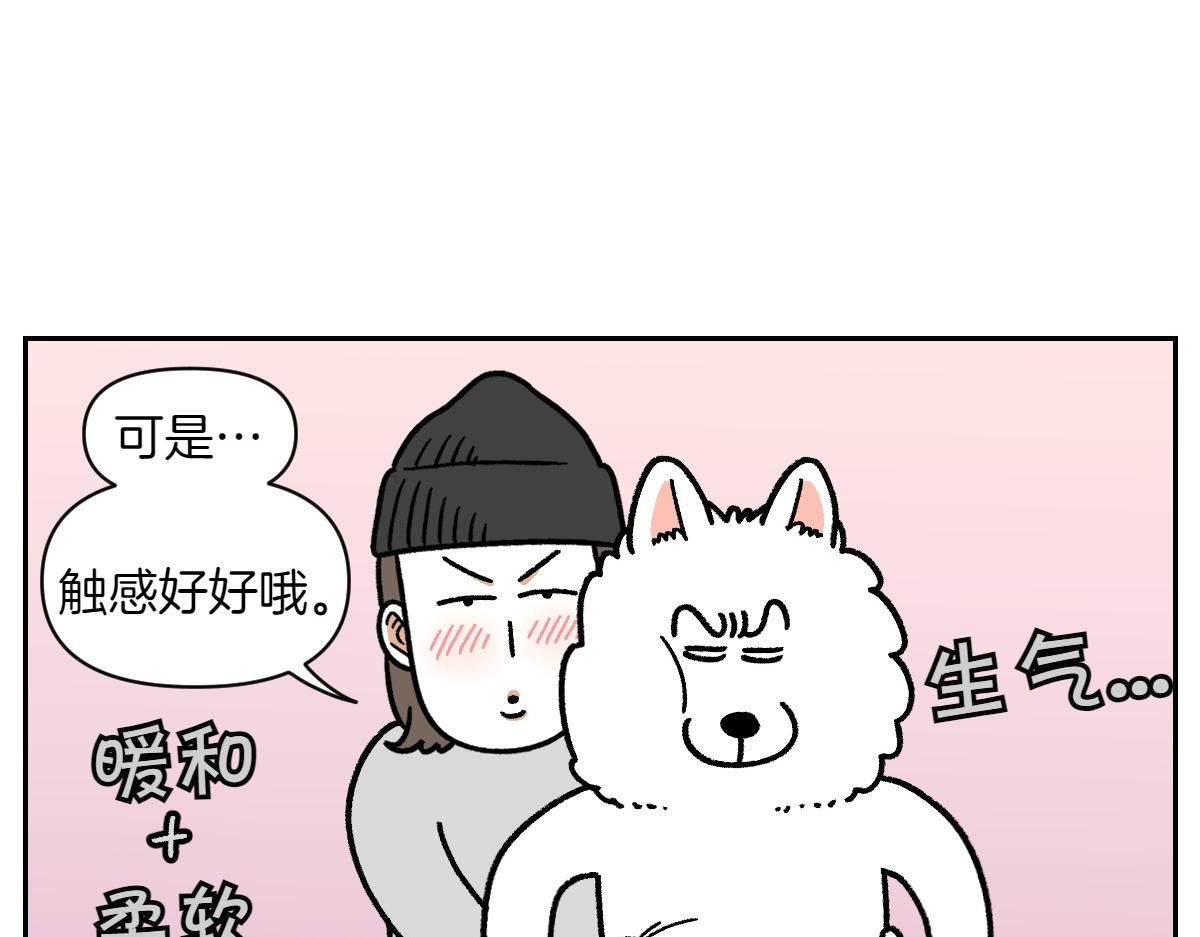 第17话 胖狗狗2(1/2)-第85话