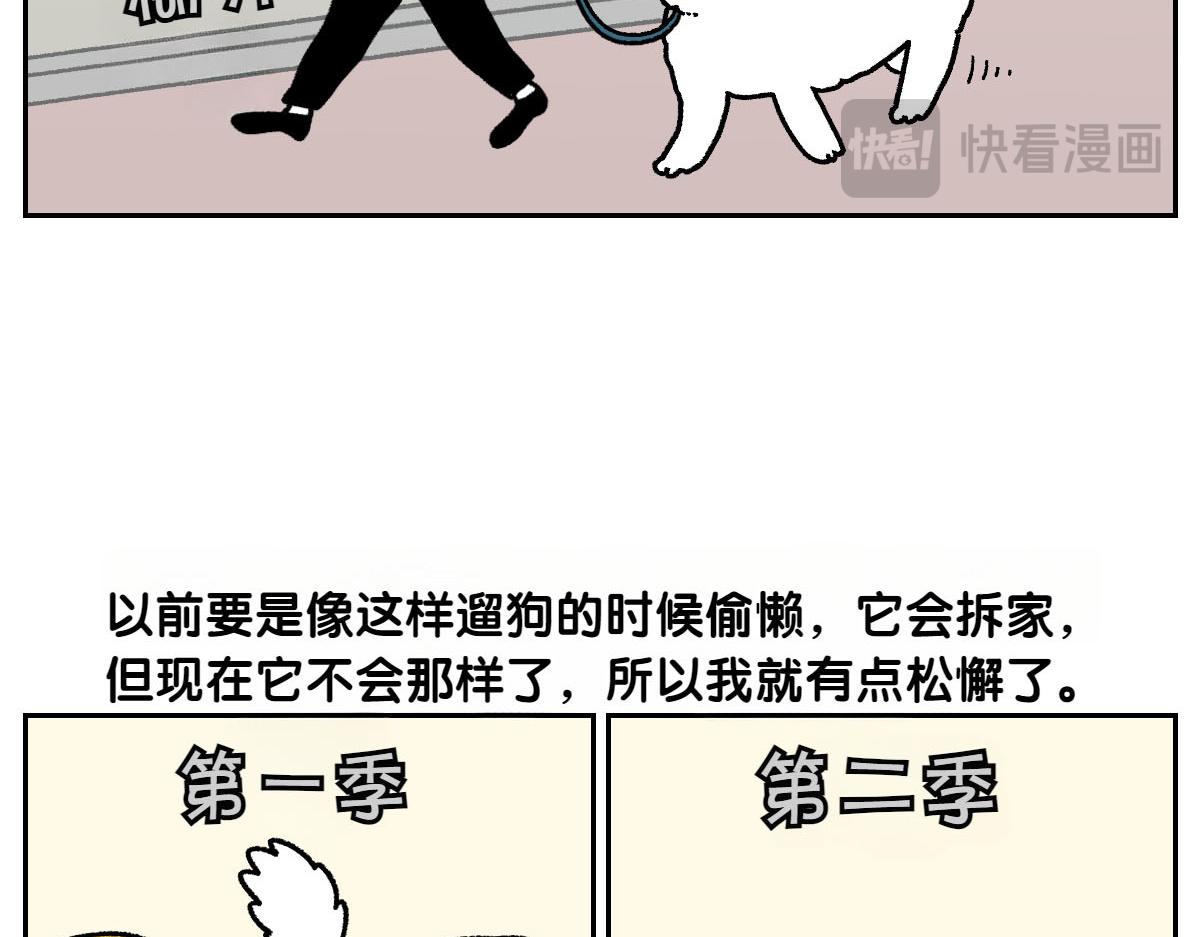 第17话 胖狗狗2(1/2)-第85话
