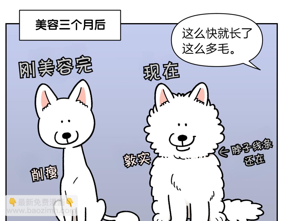 第17话 胖狗狗2(1/2)-第85话