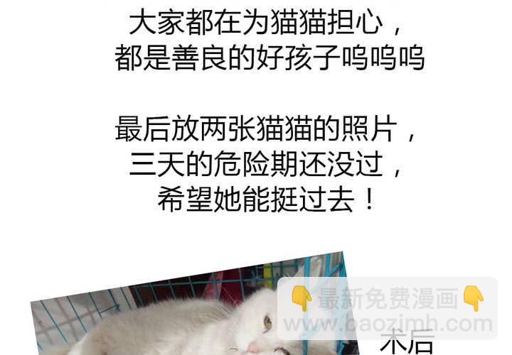 第42话 命定之人-第43话