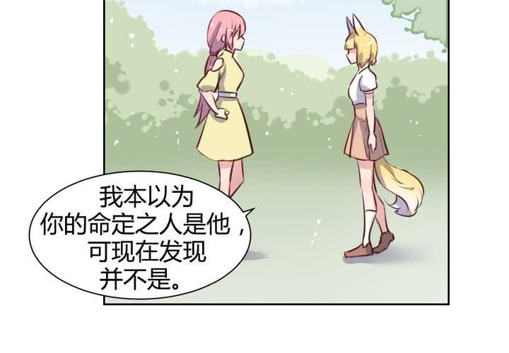 第58话 可爱的白狐婚约者-第59话