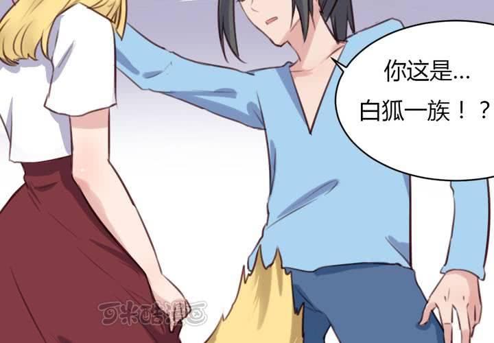 第64话 最终的告白-第65话