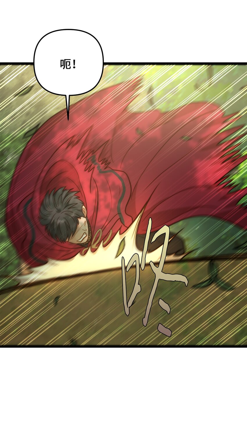 95 森林中的遭遇(1/2)-第95话