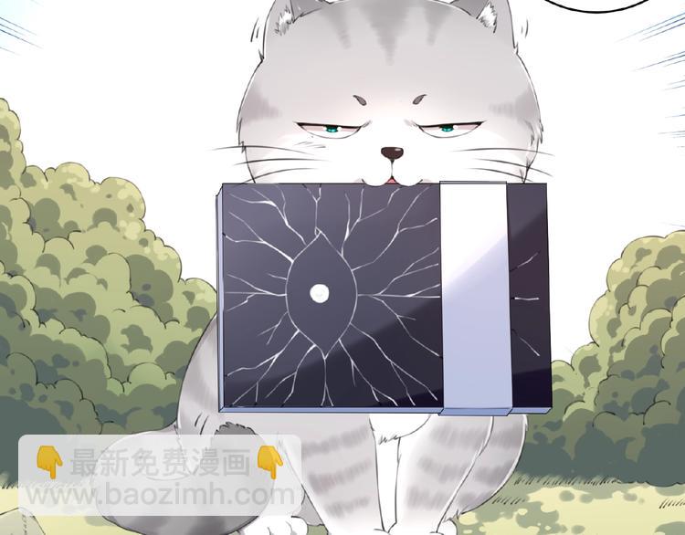 第7话 还想打我？(1/2)-第9话