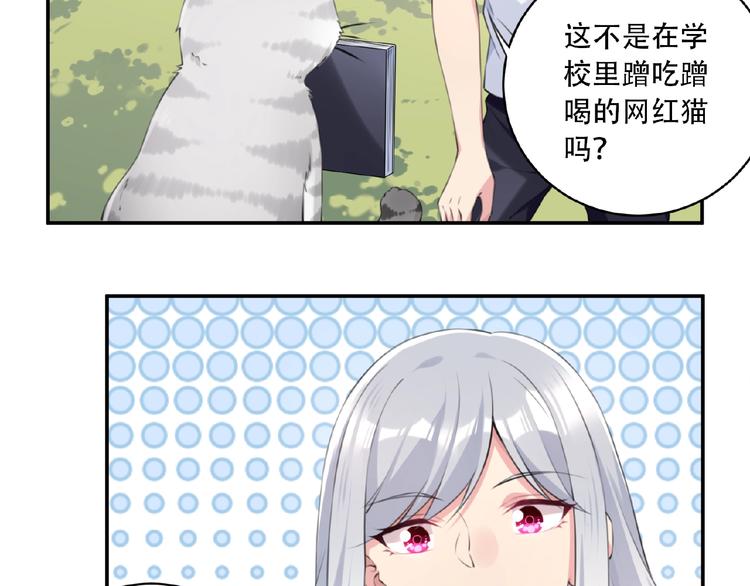 第7话 还想打我？(1/2)-第9话