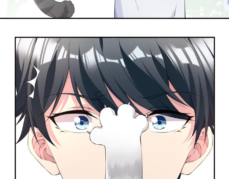 第7话 还想打我？(1/2)-第9话