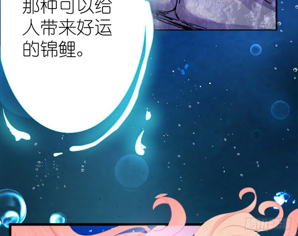 我的錦鯉少女 - chapter·001(1/6) - 3